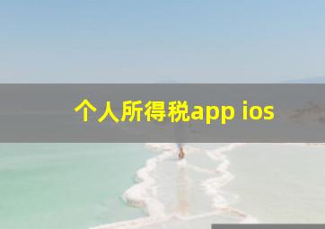 个人所得税app ios